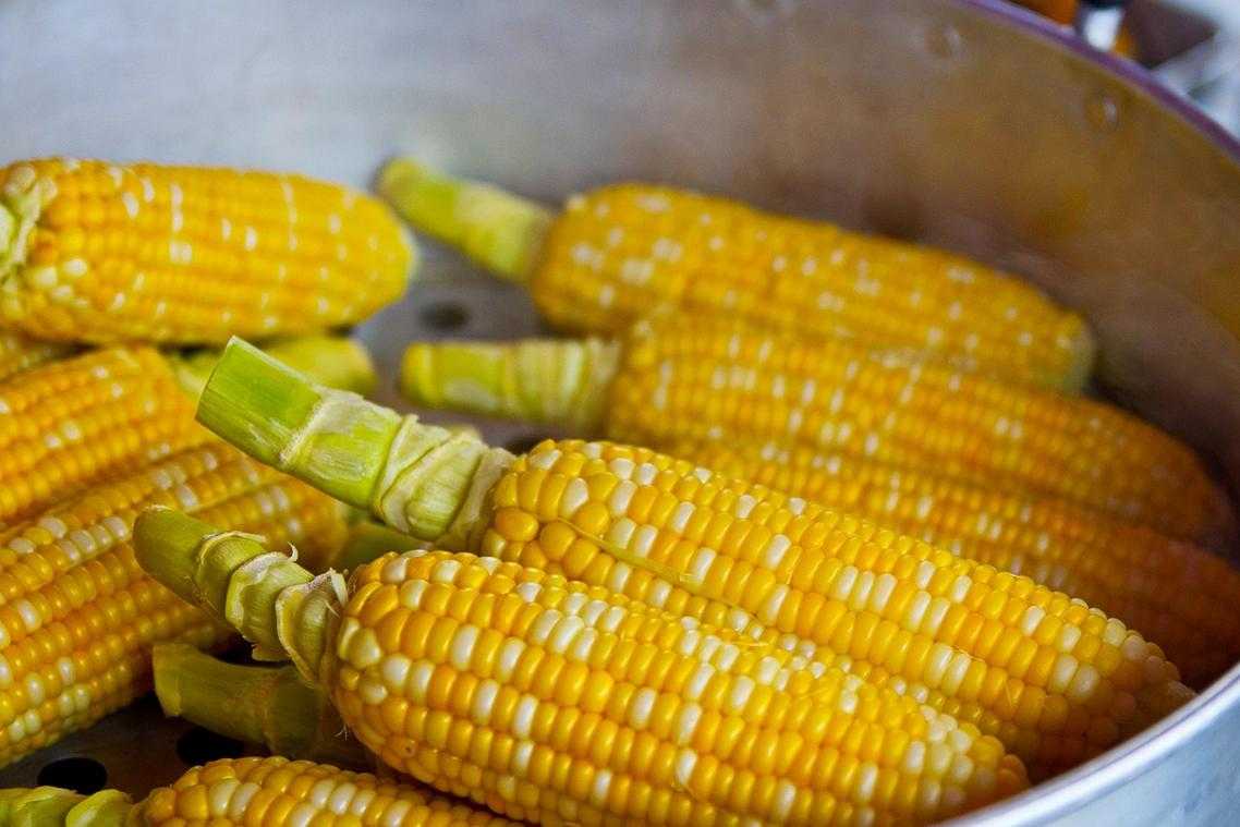 Ingredients of Fojatosgarto