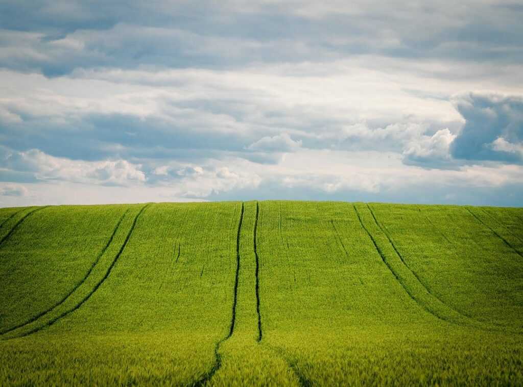 ancient grains benefits